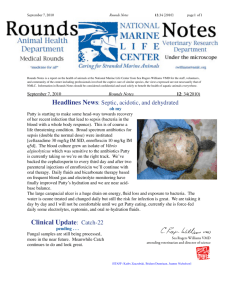 Clinical Update: Catch-22 - National Marine Life Center