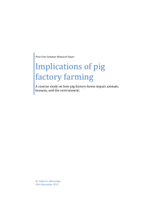 Implications of pig factory farming