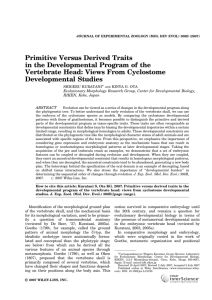 Primitive versus derived traits in the developmental program of the