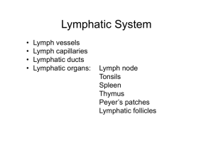 Lymphatic tissue physio
