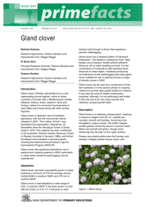 Gland clover - NSW Department of Primary Industries