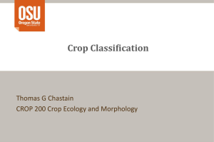Crop Classification - Crop and Soil Science