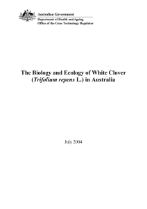 The Biology and Ecology of White Clover in Austrlia