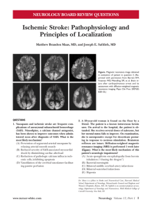 ischemic stroke: Pathophysiology and Principles of localization