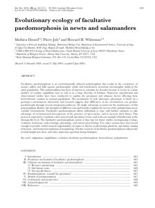 Evolutionary ecology of facultative paedomorphosis in newts and