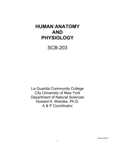 human anatomy and physiology scb-203