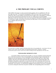- Eye, Brain, and Vision