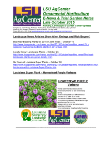 LSU AgCenter's - Louisiana Nursery and Landscape Association