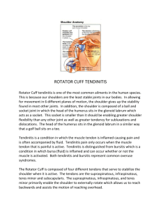 rotator cuff tendinitis - Newton Physical Therapy