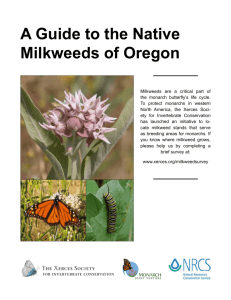 A Guide to the Native Milkweeds of Oregon