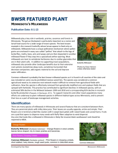 BWSR FEATURED PLANT
