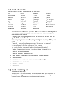 Study Sheet 1 – Review Terms Study Sheet 2 – Terminology Quiz