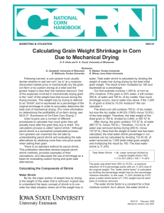 Calculating Grain Weight Shrinkage in Corn Due to Mechanical Drying