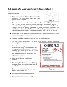 Lab Session 1: Laboratory Safety Rules and Check In