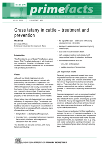 Grass tetany in cattle – treatment and prevention