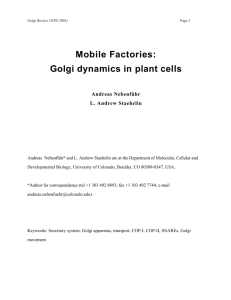 Golgi Review - University of Tennessee