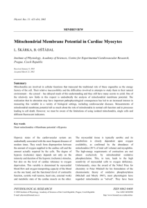 Mitochondrial Membrane Potential in Cardiac Myocytes