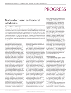 Nucleoid occlusion and bacterial cell division