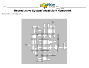 Reproductive System Vocabulary Homework