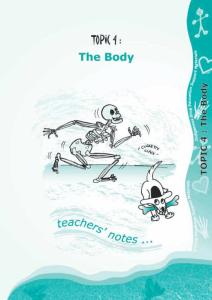 Topic 4 - The body
