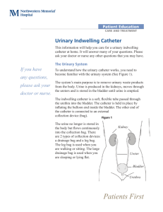 Urinary Indwelling Catheter