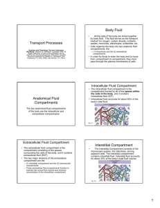 Transport - Power-Point Notes
