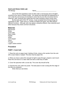 Cork and Onion Cells Lab Materials Procedure PART I: Cork Cell