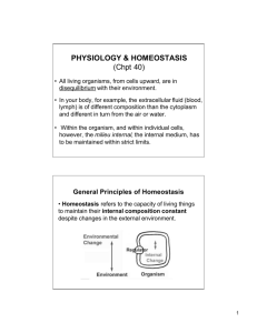 PHYSIOLOGY & HOMEOSTASIS (Chpt 40)