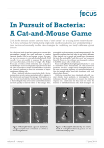 In Pursuit of Bacteria: A Cat-and-Mouse Game