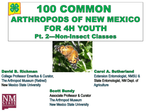 100 Common Arthropods Part 2 Non