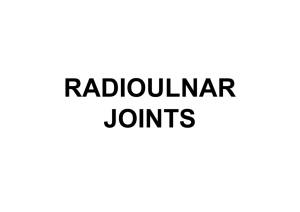 radioulnar joints
