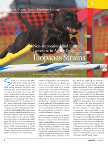 Iliopsoas Strains - AKC Canine Health Foundation