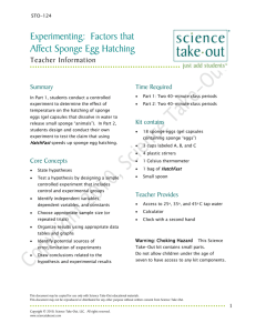 Experimenting: Factors that Affect Sponge Egg - Science Take-Out