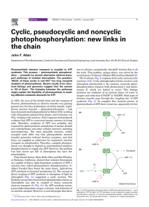 Cyclic, pseudocyclic and noncyclic