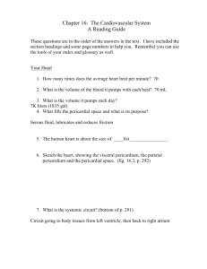 answers to ch 16 questions p. 11-14