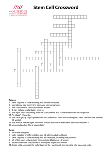 Stem Cell Crossword Puzzle