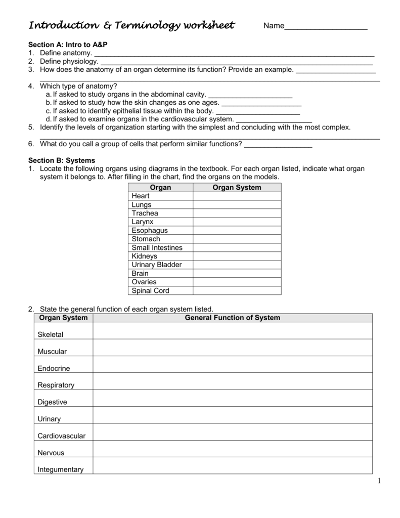 worksheet-levels-of-organization-worksheet-grass-fedjp-worksheet