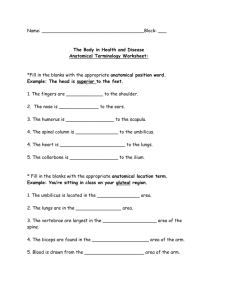 The Body in Health and Disease Anatomical Terminology Worksheet