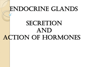 ENDOCRINE GLANDS SECRETION AND ACTION OF HORMONES