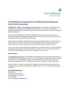 UniversalPegasus International names Terry Mienie Business