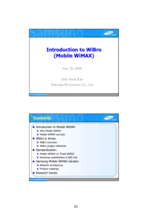 Introduction to WiBro (Mobile WiMAX)