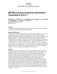 MR Microscopy of Intrinsic Brainstem Vasculature - Member
