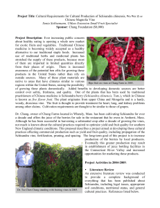 Chinese Magnolia Vine (Schisandra chinensis) Project Report