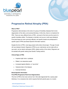 Progressive Retinal Atrophy (PRA)