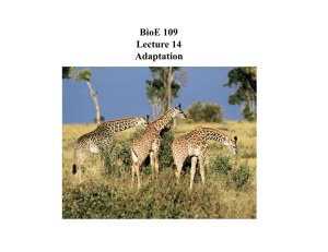 BioE 109 Lecture 14 Adaptation