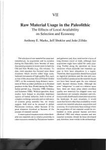 VII Raw Material Usage in the Paleolithic