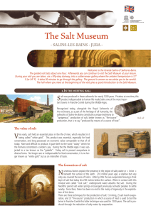 Salins - Musées des techniques et cultures comtoises