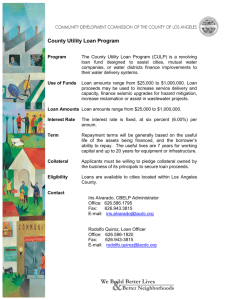 County Utility Loan Program Flyer