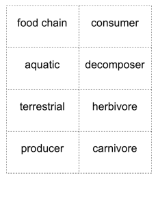 food chain aquatic terrestrial producer consumer decomposer
