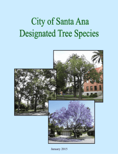 Common Name - City of Santa Ana